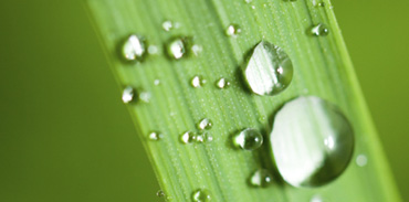 Irrigation and sprinkler systems Vancouver, WA